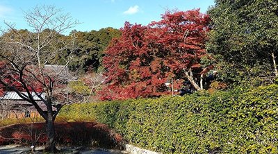 🏯 신슈잔 만간지 이미지 2